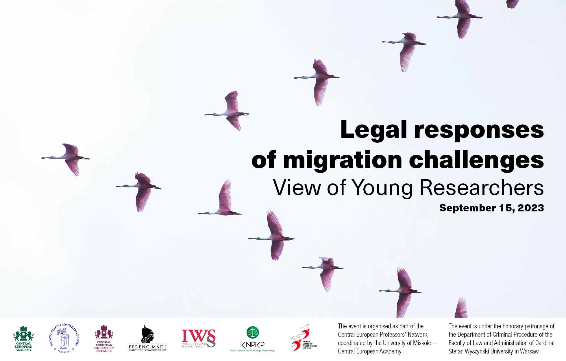 young-researchers